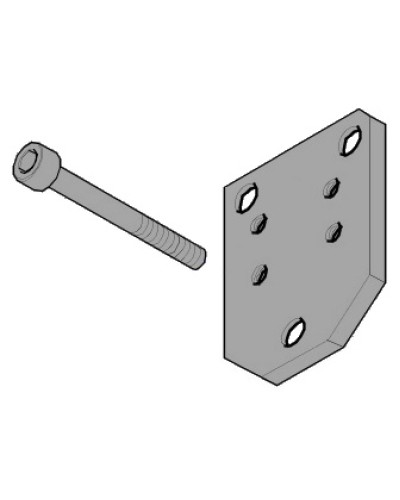 Пластина монтажная FLEX Came 119RID143 в Энгельсе Запчасти для шлагбаумов и автоматики Pintop.ru