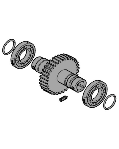 Вал выходной EMEGA Came 119RIE062 в Перми Запчасти для шлагбаумов и автоматики Pintop.ru