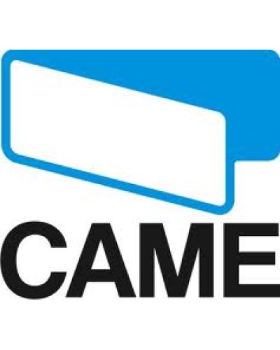 Замок G2500 Came 119RIG089 в Энгельсе Запчасти для шлагбаумов и автоматики Pintop.ru