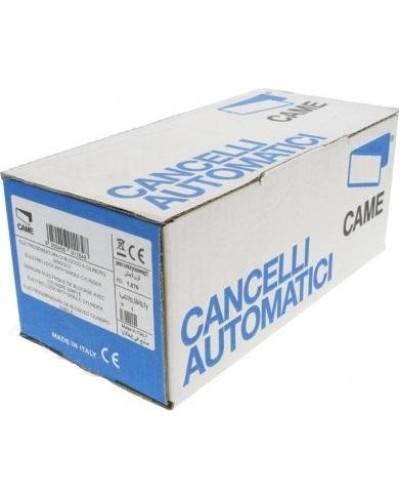 Магнит с болтом Came 119RIT060 в Энгельсе Запчасти для шлагбаумов и автоматики Pintop.ru