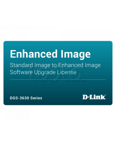 ПО D-Link DGS-3630-28PC-SE-LIC в Энгельсе Беспроводное оборудование Pintop.ru