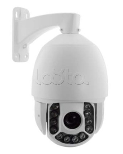 IP-камера видеонаблюдения купольная EverFocus ACE-ATE2033 в Энгельсе IP-камеры Pintop.ru