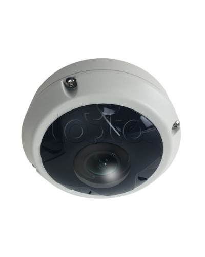 IP-камера видеонаблюдения купольная EverFocus ACE-KU89F в Энгельсе IP-камеры Pintop.ru