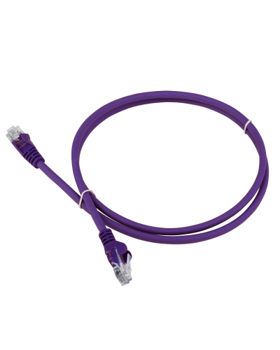 Патч-корд LANMASTER LSZH UTP кат.5e, 0.3 м, фиолетовый LANMASTER LAN-PC45/U5E-0.3-VI в Энгельсе Патчкорды (медные) Pintop.ru