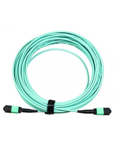 Сборка кабельная LANMASTER (LAN-12M-12M/OM3B-5.0) в Энгельсе Коннекторы Pintop.ru