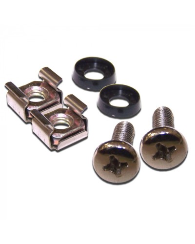 Крепежные винты для патч-панелей, 30 шт. в пачке LANMASTER (LAN-SC30) в Энгельсе Расходные материалы для шкафов и стоек Pintop.ru