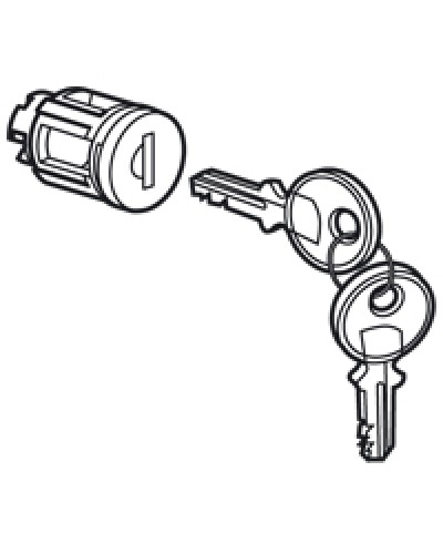 Цилиндр встроенный под ключ №405 Legrand 020291 в Энгельсе Дополнительное оборудование для сетей Pintop.ru