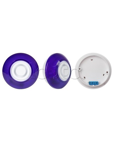 Оповещатель комбинированный SLT Марс 12-КП (строб, син) в Энгельсе Оповещатели Pintop.ru