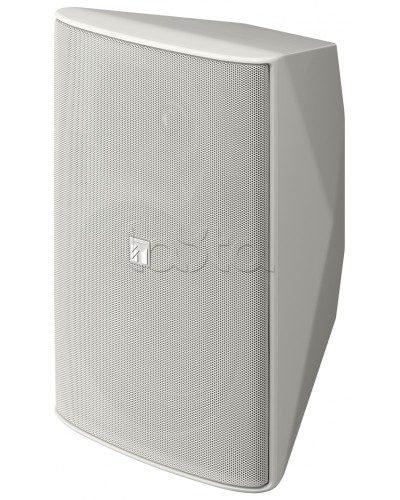 Громкоговоритель 2 полосный TOA F-2000 WT в Энгельсе Системы оповещения и трансляции TOA Pintop.ru